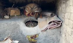 Batman’da ekmek tandırında uyuşturucu ele geçirildi