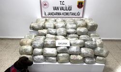 Van’da 70 kilo skunk madde ele geçirildi