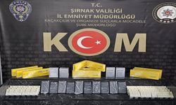 Şırnak’ta asayiş, kaçakçılık ve narkotik operasyonu
