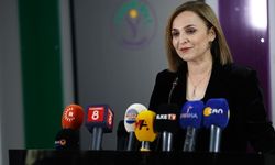 Silahsızlanma sonrası DEM Parti’den çağrı: ‘Somut adımlar atılmalı’