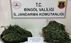 Bingöl’de bagajda ele geçirilen yaklaşık 18 kilogram uyuşturucuya 4 tutuklama