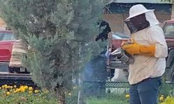 Iğdır’da kraliçe arının peşinden gelen binlerce arı şehir merkezini istila etti