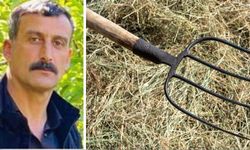 Şemdinli’de Kardeş Kavgası Can Aldı: Dirgenle Yaralanan kardeş öldü