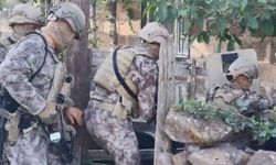 Bitlis merkezli suç örgütü operasyonunda 22 kişi gözaltına alındı
