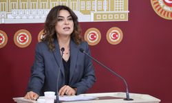 Koçyiğit’ten Yüksekova’daki Anjiyo Ünitesi Eksikliği İle İlgili  Soru Önergesi
