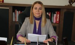 CHP Hakkari İl Başkanı Çakırbeyli’den Tepki: Kadınların Hakları Yarıya Bölünemez!