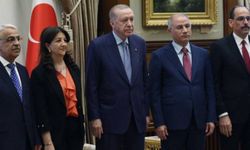 Dem Parti heyeti Erdoğan'dan ne talep etti?