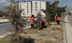 Yüksekova’da Orta Refüjde Temizlik Çalışması