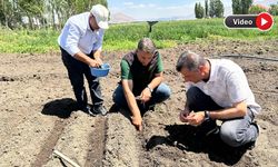 Yüksekovalı Salep Üreticisine Tarım Yetkililerinden Ziyaret