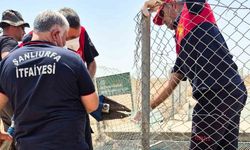 Sulama kanalında akıntıya kapılan kişinin cesedine ulaşıldı