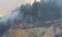 Bolu’daki orman yangını yayılıyor: 7 helikopterle havadan destek
