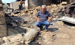 Mersin’de orman yangınında evler yandı, hayvanlar telef oldu
