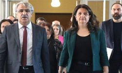DEM Parti İmralı Heyeti, komisyonun ardından ilk kez Öcalan ile görüşecek