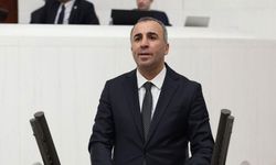 DEM Parti'nin yeni komisyon üyesi Celal Fırat oldu
