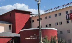 Yüksekova Sınırında 4 Ceset Bulundu!