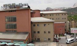 Hakkari'de riskli hamilelik yaşayanlar artık başka illere sevk edilmeyecek