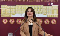 Koçyiğit: “Yüksekova’da Kalp Damar Cerrahisi Olmaması Sağlık Hakkının İhlalidir”