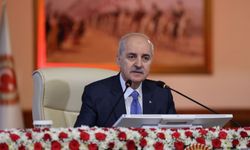 Komisyonun ikinci toplantısı Cuma günü: Yerlikaya, Güler ve Kalın katılacak