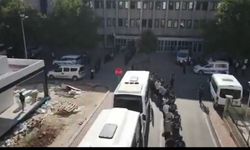 Nitelikli Dolandırıcılık Şebekelerine Operasyon: 102 Tutuklama