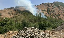 Şemdinli’de ormanlık alanda yangın çıktı