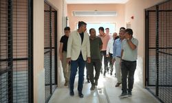 Çelik’ten Yüksekova’da Sokak Hayvanları İçin Doğal Yaşam Alanı İncelemesi