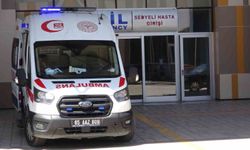 Sıcak hava dalgası Van’da acil servislerde yoğunluğu artırdı