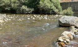 Siirt’te Hizan ve Hesko su hatlarında onarım ve temizlik çalışması