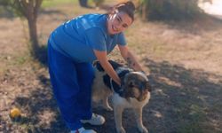 Hayatını Kaybeden Muğdat’ın Vefalı Köpeğini Ceylan Ertem Sahiplendi