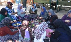 Gaziantep’te kadınların imece usulü kurutmalık telaşı