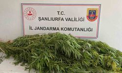 Şanlıurfa’da uyuşturucu operasyonu: 2 gözaltı