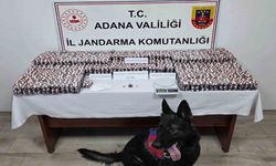 Adana’da 19 bin 167 adet uyuşturucu hap ele geçirildi: 1 tutuklama