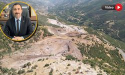 Başkan Tekin’den Altınsu’daki doğa katliamına tepki