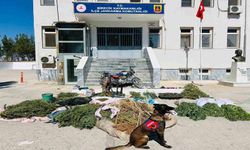 Şanlıurfa’da uyuşturucu operasyonu: 3 gözaltı