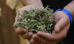 Kurusunun 100 gramı ile bir öğünlük yemek pişiyor