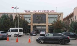 Cizre Devlet Hastanesinde ilk defa yüz gençleştirme ameliyatı yapıldı