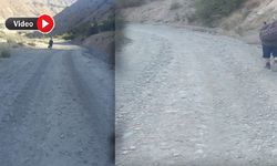 Yüksekova’da yol çilesi : Köylüler 15 kilometre yürümek zorunda kalıyor