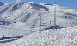 Taşlıçay’da kar yağışıyla Gündoğdu köyü beyaza büründü