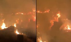 Hakkari’de İtfaiye ekipleri alevlere müdahale etti