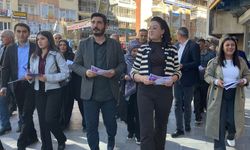 Hakkari’de DEM Parti’den halk buluşması çağrısı
