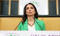Hatimoğulları: Demirtaş'ın saatler içerisinde bırakılmasını istiyoruz