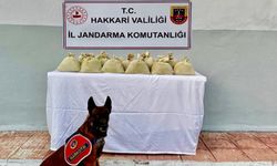 Hakkari’de Uyuşturucu Operasyonu: 15 Kilo Toz Esrar Ele Geçirildi