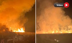 Yüksekova ‘da kuş cenneti yine yanıyor : Rüzgârın etkisiyle yangın büyüyor