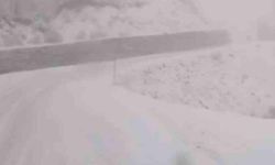 Tunceli’de, kar yağar yağmaz mücadele başladı