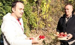 Kaymakam Demirci, Nar Hasadına Katıldı