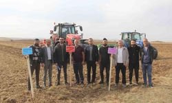 Sivas’ta 5 farklı ekmeklik buğday, pilot bölgede toprakla buluşturuldu