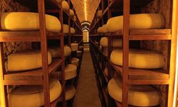 Kars Peynir Müzesi yoğun ilgi görüyor