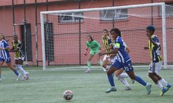 Hakkarigücü, Fenerbahçe'ye 2-0 mağlup oldu