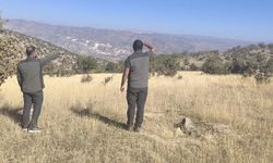 Hakkâri ve Bölge illerinde doğaya sıkı koruma