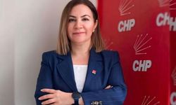 Yüksekova’da Doğalgaz Krizi: CHP İl Başkanı’ndan Tepki