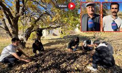 Arpalı Köyünde Su Sıkıntısı Ceviz Verimini Düşürdü